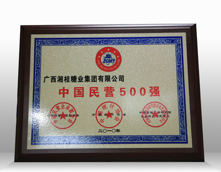 中國民營企業500強獎牌