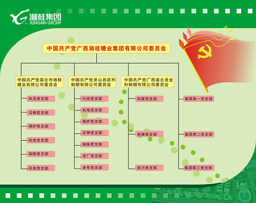 湘桂集團黨委構架圖