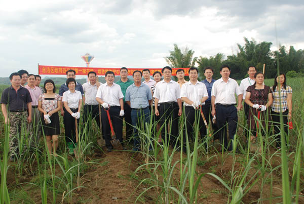 自治區政府辦公廳第一秘書處處長唐寧(右八)、自治區政務服務中心管理辦公室管理處處長鐘穗(右六)一行在湘桂公司甘蔗基地參加田間勞動